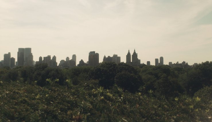 wpimg_20160827_151841